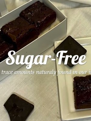 Web Site Opening Long Video